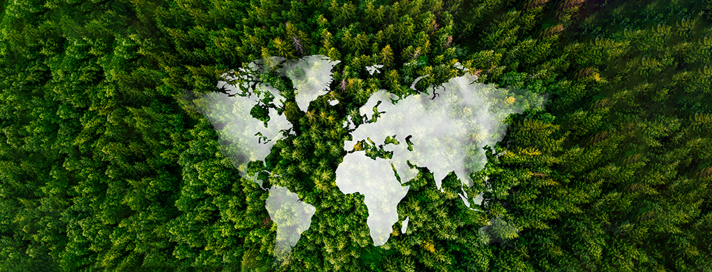 The Rise of Green Tech and Sustainable Innovation